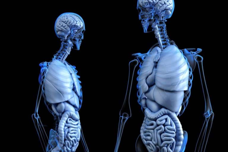 15 zanimljivih činjenica o ljudskom tijelu