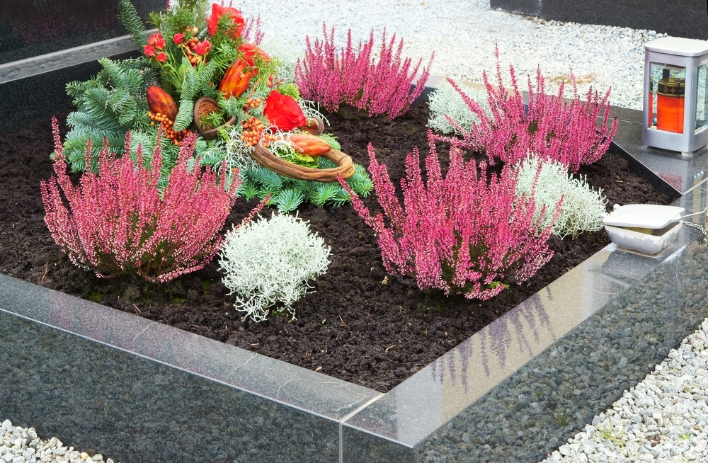 Različite vrste cvijeća za groblje