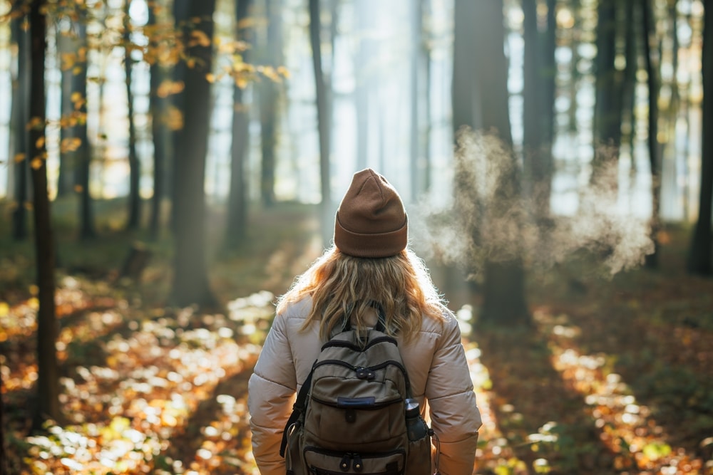 Šetnja kroz prirodu s istraživanjem flore i faune