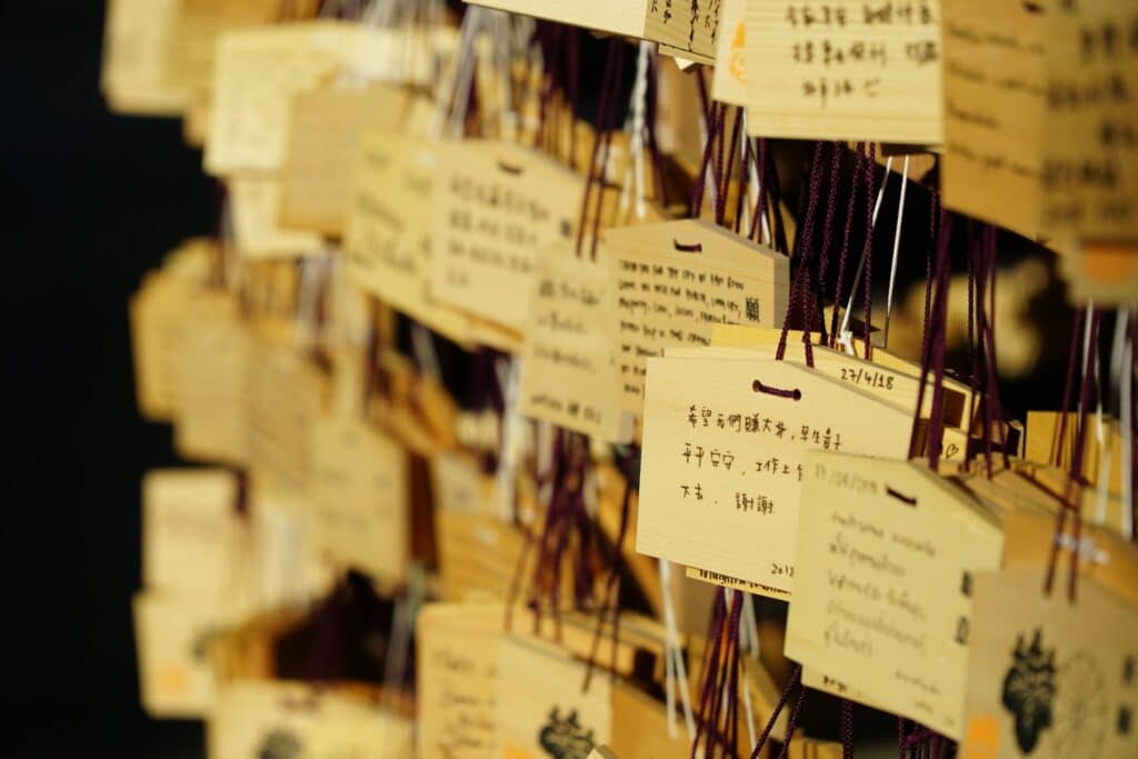 kako radi manifestacija